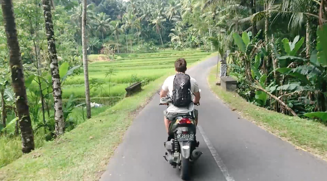 Bali, Jungle, Tour, Ubud